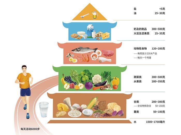 2022年版本的《中国居民膳食指南》